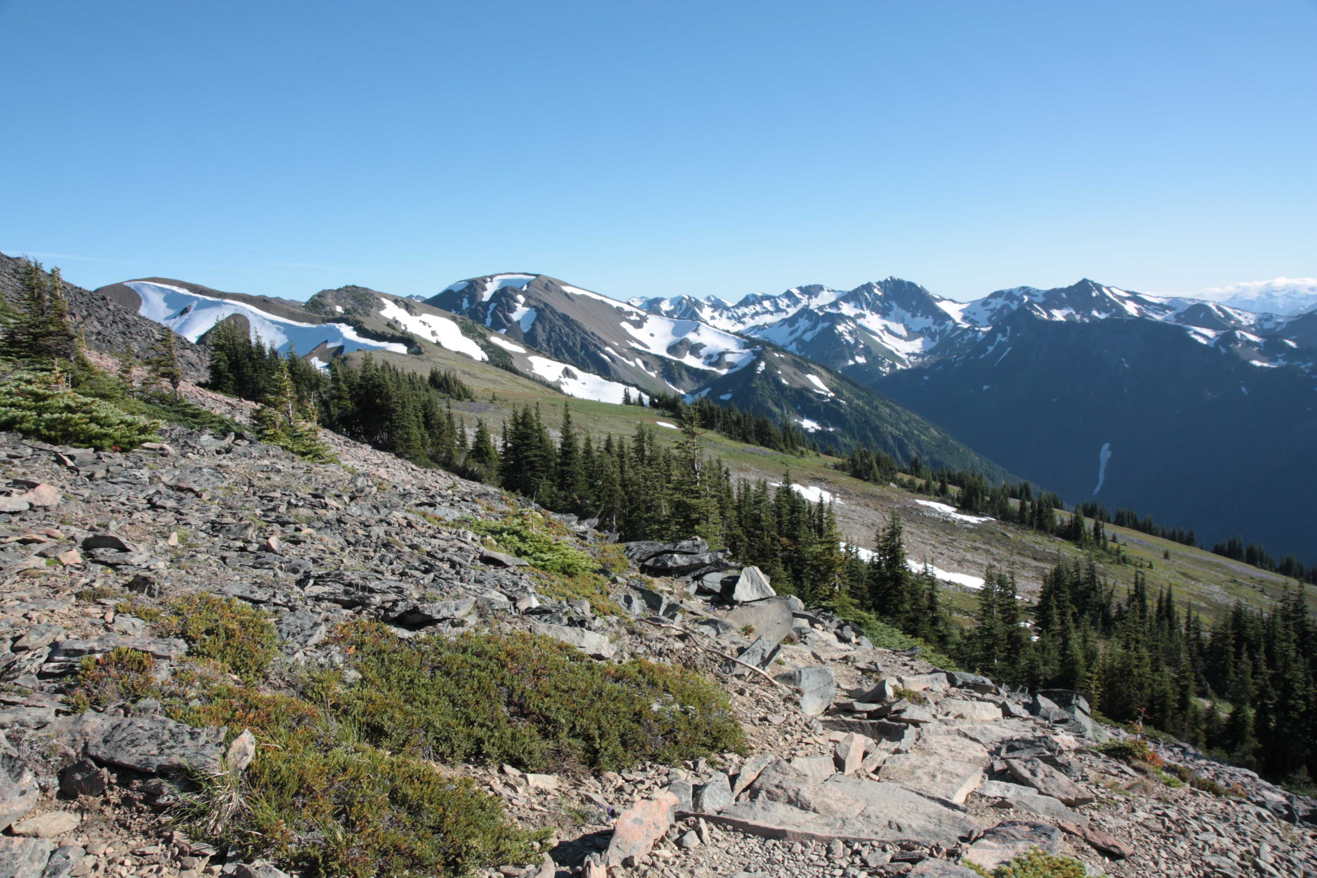 Olympic NP